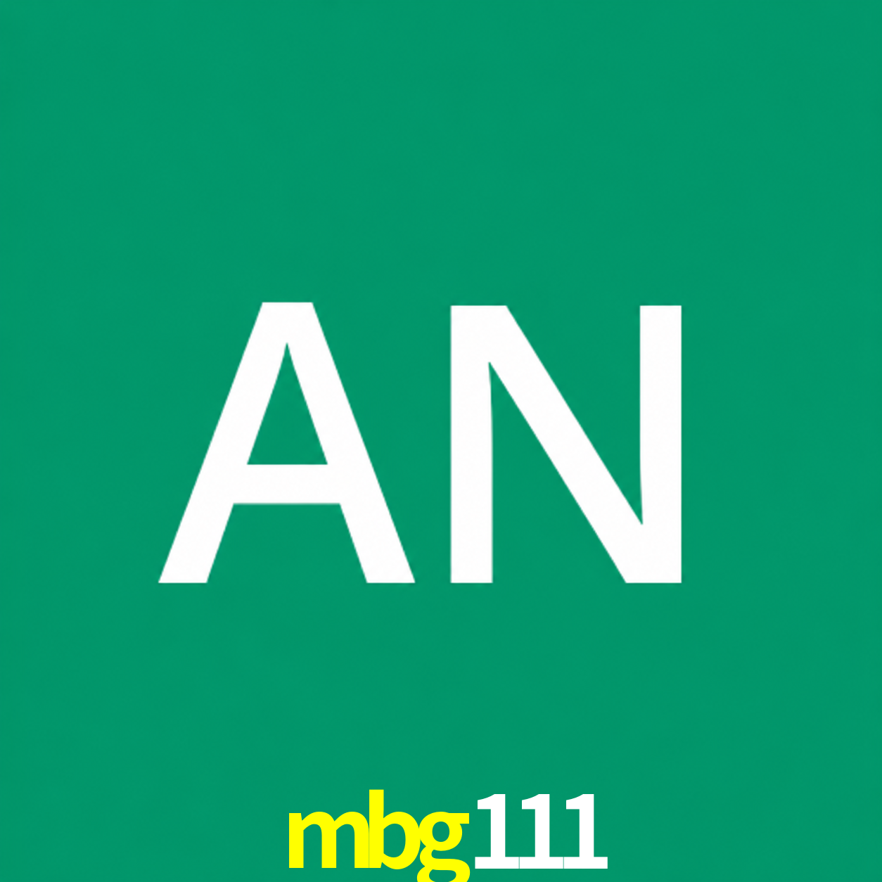Adi Nugroho - Founder & CEO mbg111 Indonesia
